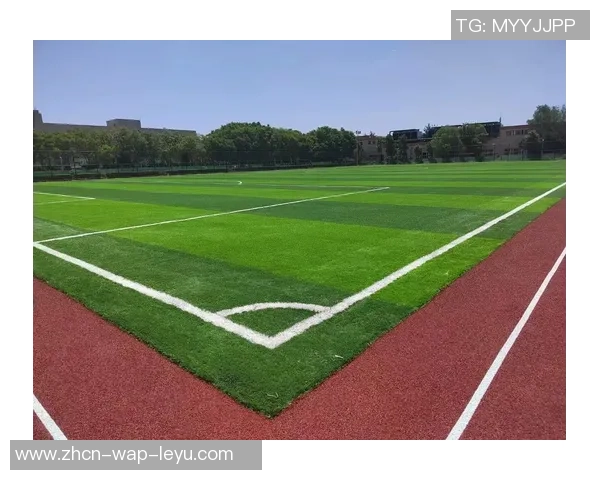 山东足球场草坪厂家专业提供高品质草坪解决方案助力足球运动发展 山东足球场草坪厂家专业提供高品质草坪解决方案助力足球运动发展